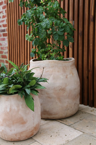 Sac Planter