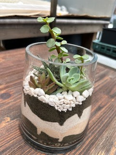 Sand & Succulent Terrarium