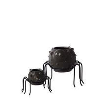 Load image into Gallery viewer, Two black ceramic spider-shaped plant pots with googly eyes and metal legs, small and large sizes
