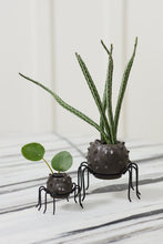 Load image into Gallery viewer, Two dark gray spider-shaped planters with googly eyes and black metal legs holding succulents