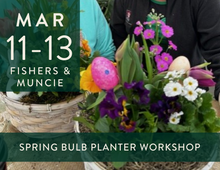 Load image into Gallery viewer, 2026 Spring Bulb Planter Workshop
