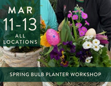Load image into Gallery viewer, 2026 Spring Bulb Planter Workshop