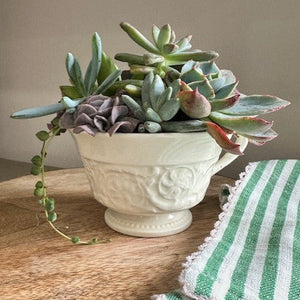 teacup planter pot 2026 Summer Garden Party & Teacup Succulent Workshop – Wasson Nursery