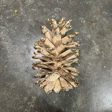 Load image into Gallery viewer, Pick Holiday Pinecone