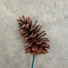 Load image into Gallery viewer, Pick Holiday Pinecone