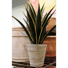 Load image into Gallery viewer, Claridge House Planter