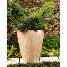 Load image into Gallery viewer, Sonora Tall Planter