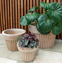 Load image into Gallery viewer, Terracotta Plisee Planter Short with ribbed texture displayed with companion pots outdoors