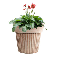 Load image into Gallery viewer, Plisee Planter Tall