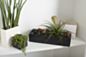 Load image into Gallery viewer, Urban Planter