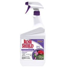 Load image into Gallery viewer, Bonide Rose Shield spray bottle fungicide for rose disease prevention and treatment