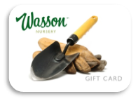 Wasson Nursery Gift Card